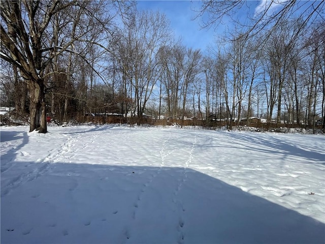 view of yard covered in snow