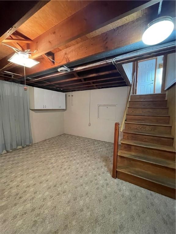 basement featuring carpet floors