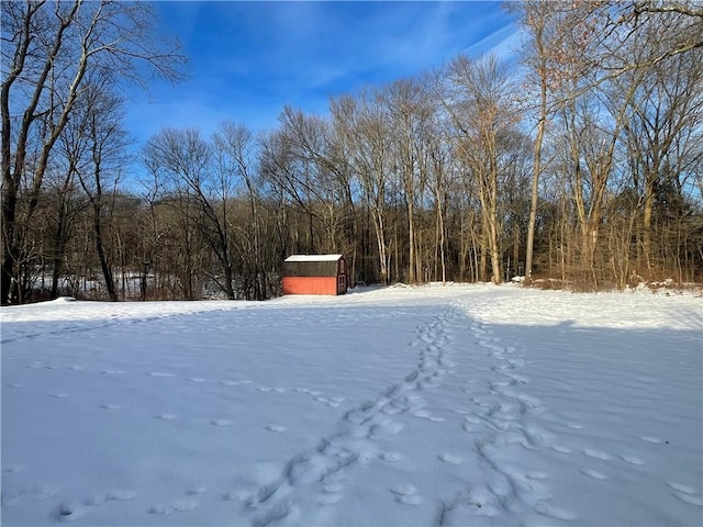 view of yard covered in snow