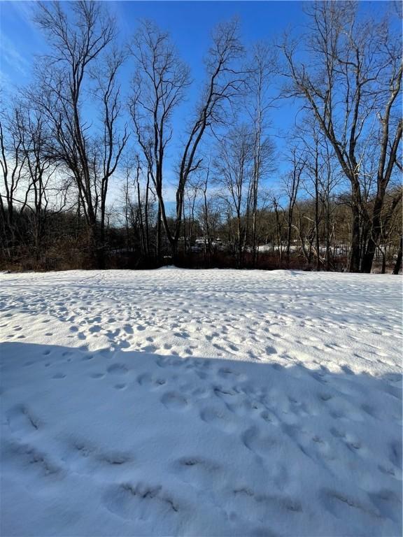 view of snowy yard