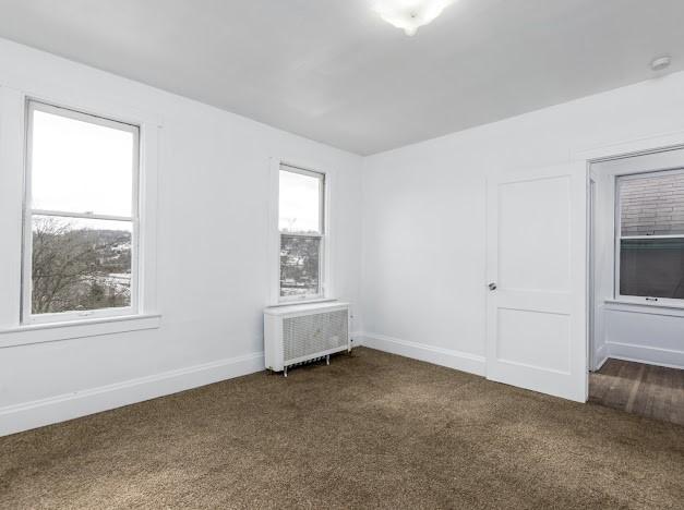 spare room with radiator and carpet floors