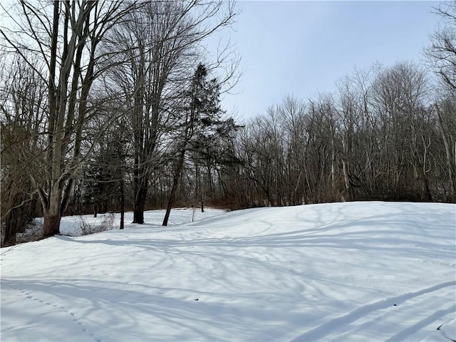 view of yard covered in snow