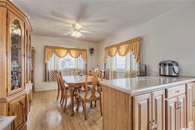 dining room featuring ceiling fan, plenty of natural light, and light wood-type flooring