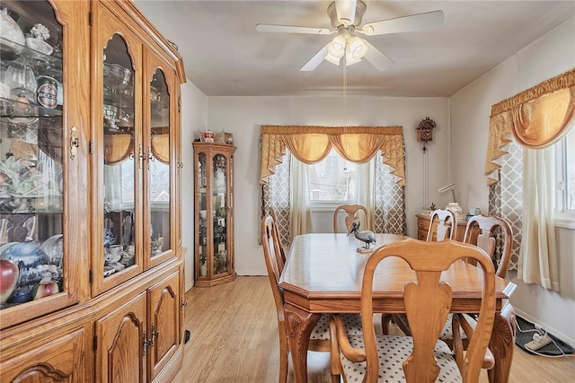 dining space with ceiling fan and light wood-type flooring