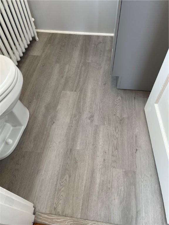 room details featuring radiator, toilet, and wood finished floors