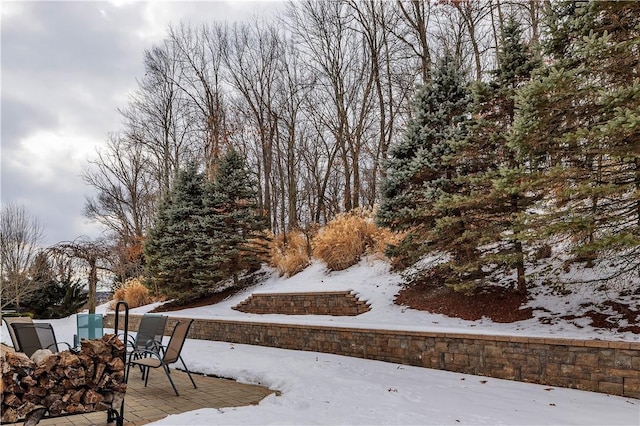 view of yard covered in snow