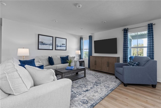 living room featuring light hardwood / wood-style floors