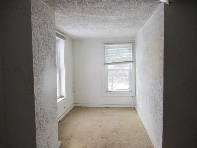 empty room featuring light carpet and a textured ceiling