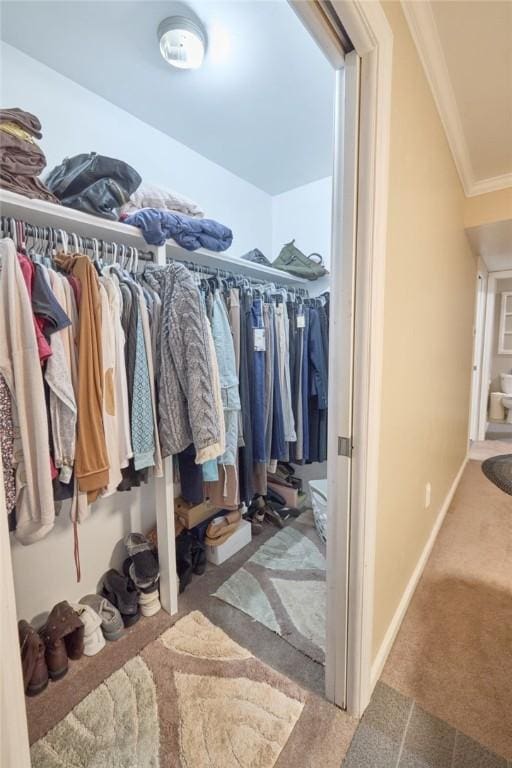 walk in closet with carpet flooring