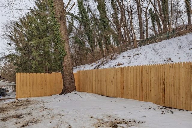 view of yard layered in snow