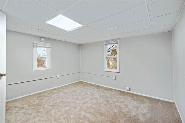 spare room with light colored carpet and a drop ceiling