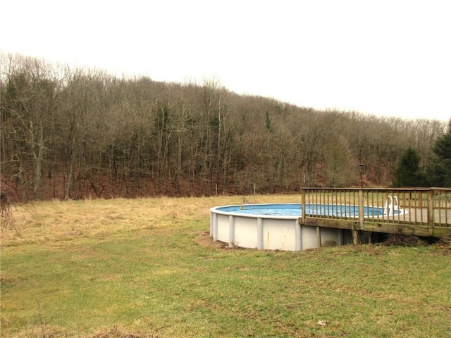 view of pool with a yard and a deck