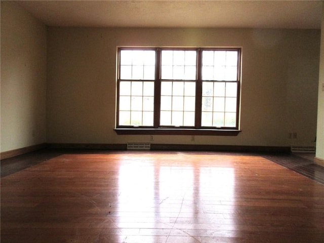 empty room featuring a wealth of natural light and light hardwood / wood-style flooring