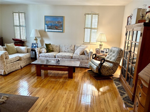 living room with light hardwood / wood-style flooring