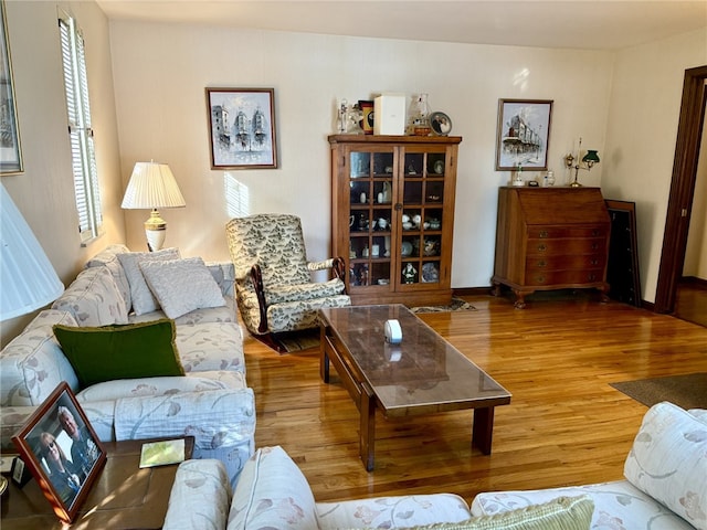 living room featuring hardwood / wood-style flooring