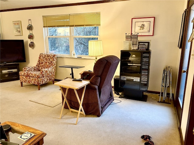 sitting room with crown molding and carpet flooring