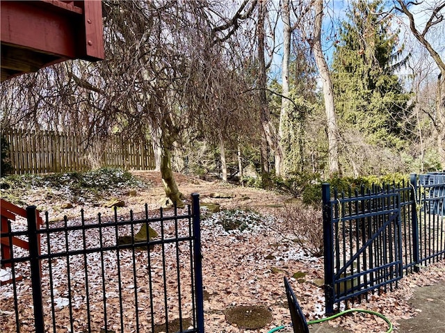 view of gate with fence