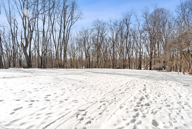 view of yard covered in snow