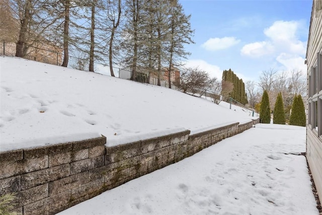 view of yard covered in snow