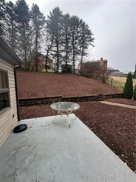 view of yard featuring a patio area