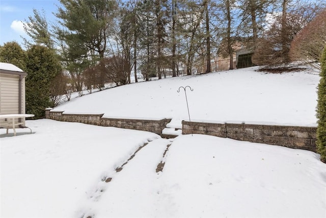 view of snowy yard