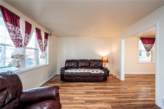 living room featuring a healthy amount of sunlight and hardwood / wood-style floors