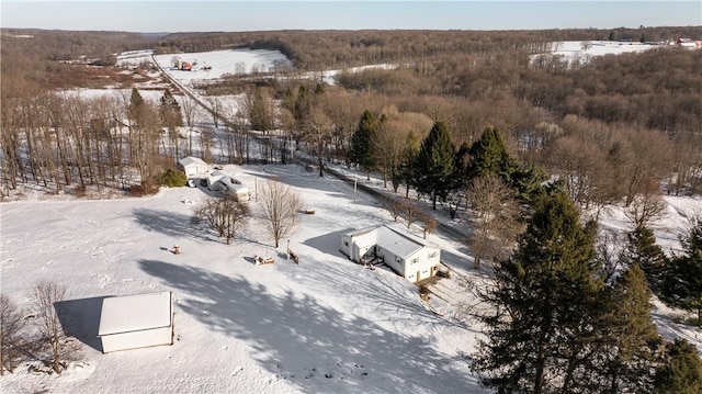 view of snowy aerial view