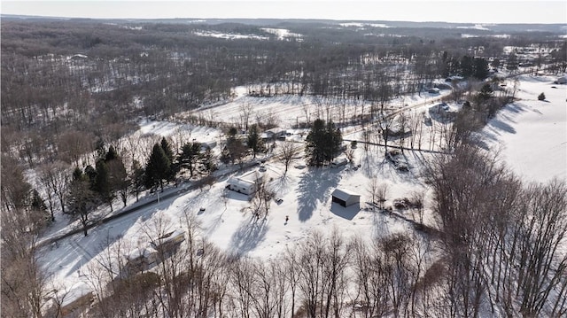 115 Mill Creek Rd, Mill Creek, PA 16145 - snowy aerial view with a wooded view
