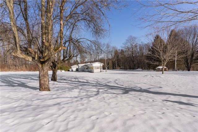 view of yard covered in snow