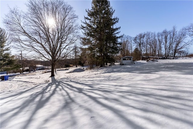 view of snowy yard