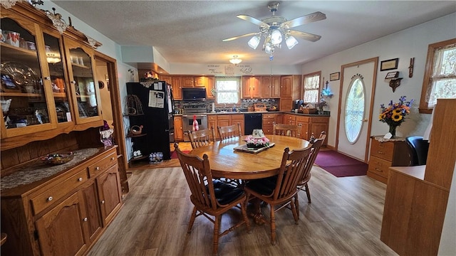 115 Mill Creek Rd, Mill Creek, PA 16145 - dining room with wood finished floors, healthy amount of natural light, and ceiling fan