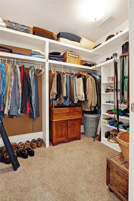 walk in closet with light colored carpet