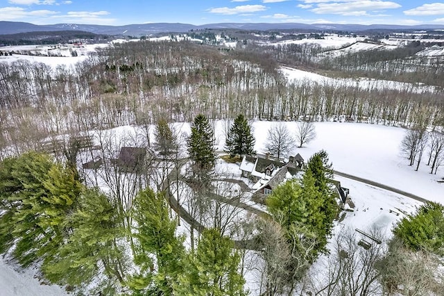 snowy aerial view with a mountain view