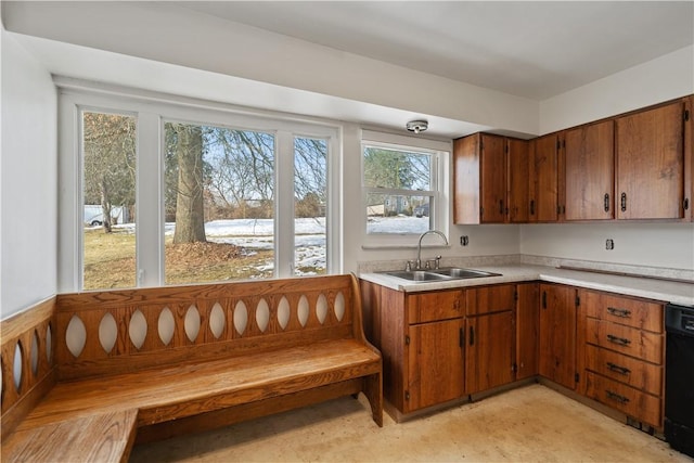 kitchen with sink and dishwasher