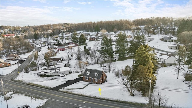 view of snowy aerial view