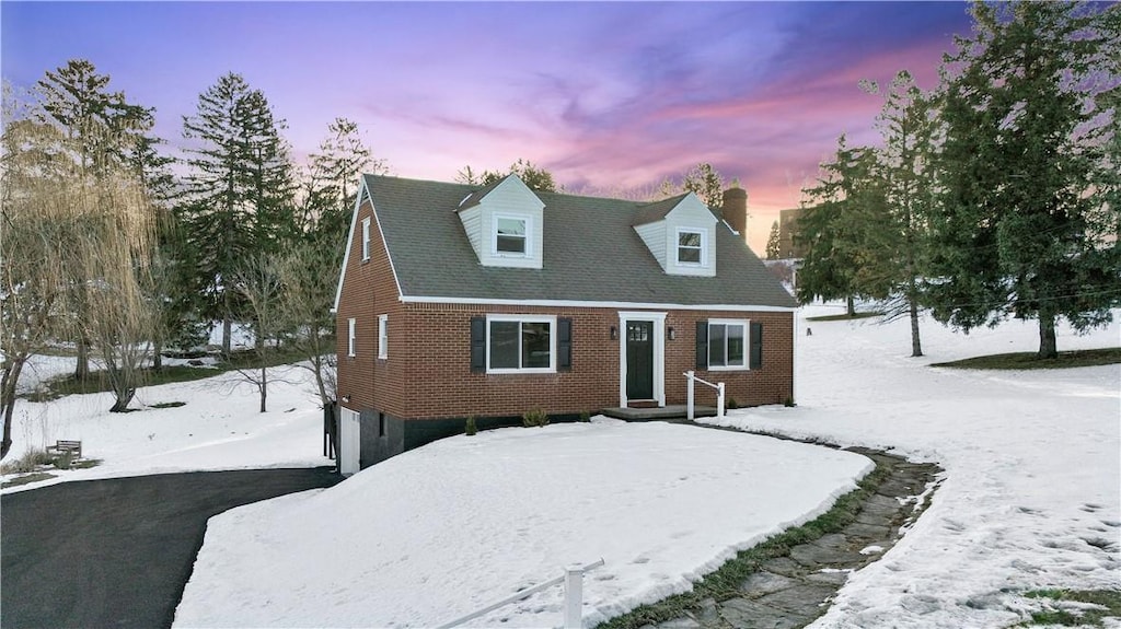 view of cape cod-style house