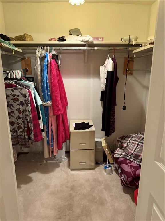 spacious closet featuring light colored carpet