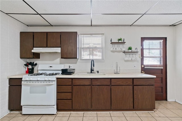 kitchen with white gas range, sink, a paneled ceiling, and dark brown cabinetry