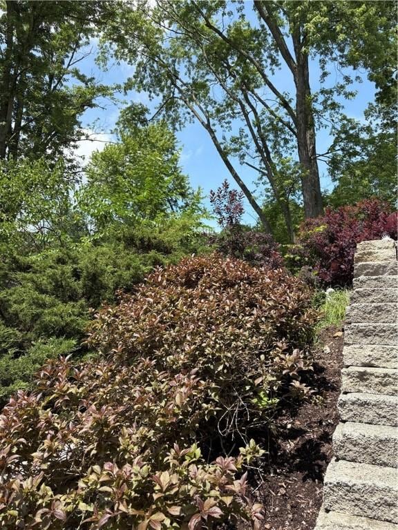 1819 Edward Dr, South Park, PA 15129 - photo 3