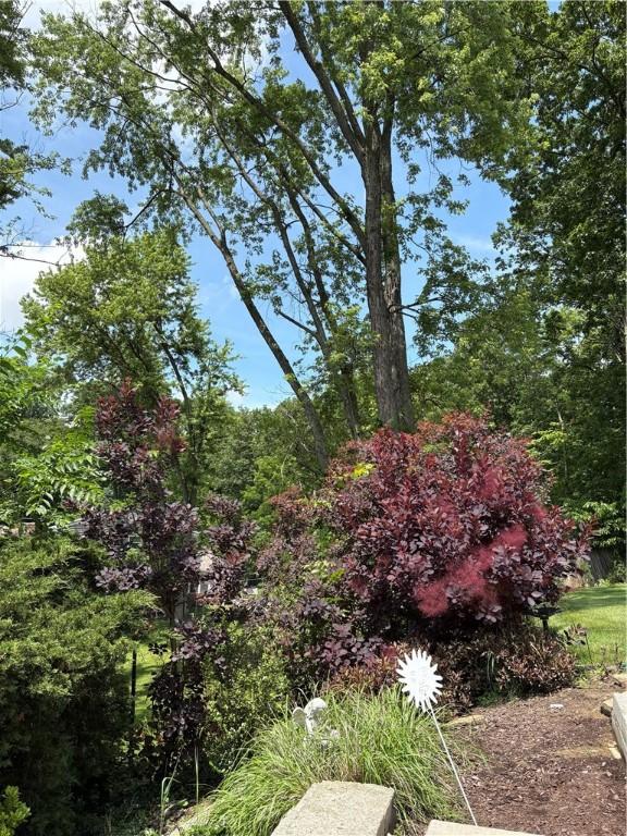 1819 Edward Dr, South Park, PA 15129 - photo 5