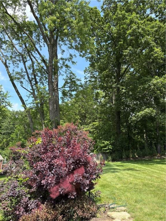 1819 Edward Dr, South Park, PA 15129 - photo 6