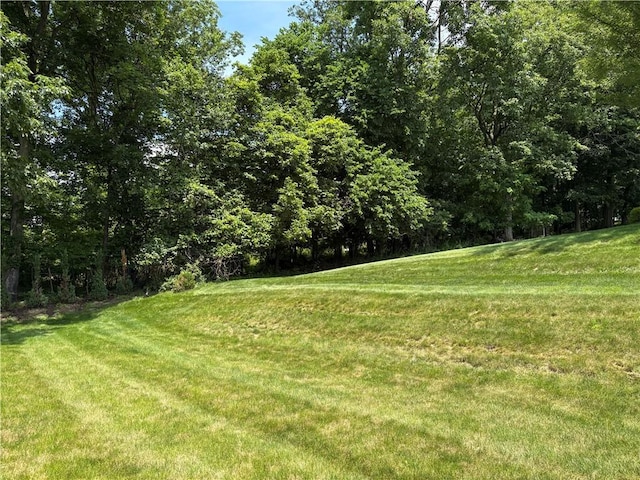 1819 Edward Dr, South Park, PA 15129 - photo 9