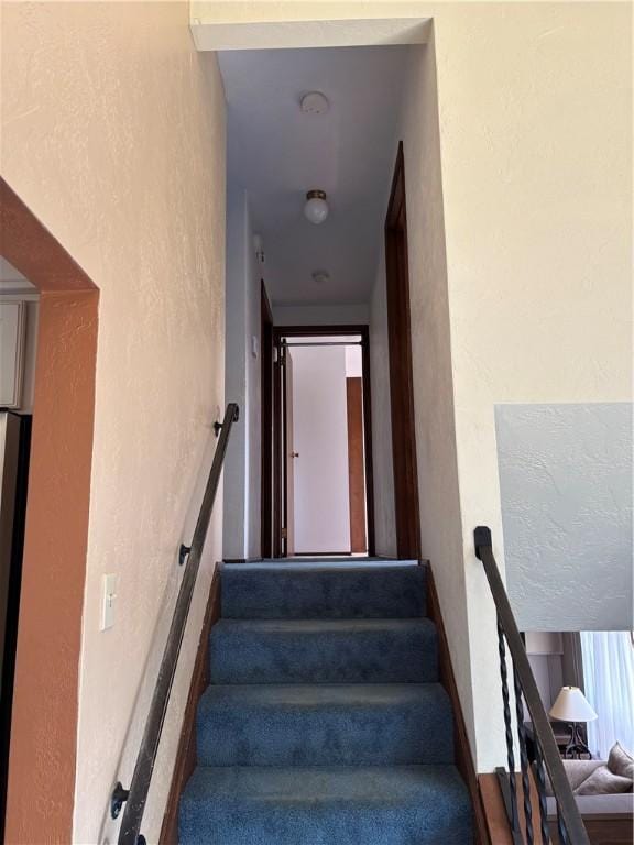 1819 Edward Dr, South Park, PA 15129 - photo 23