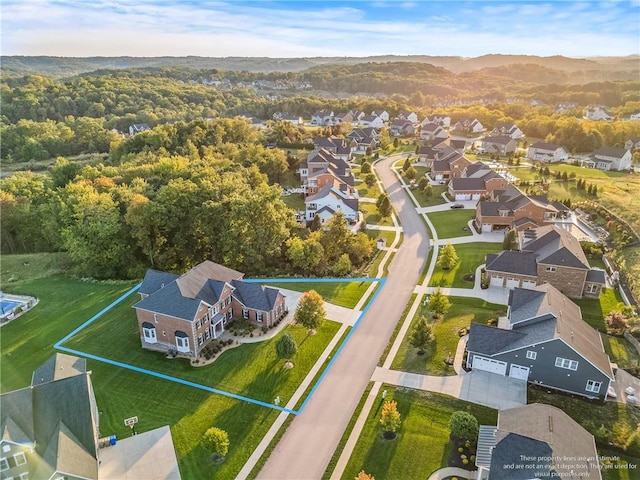 aerial view with a mountain view