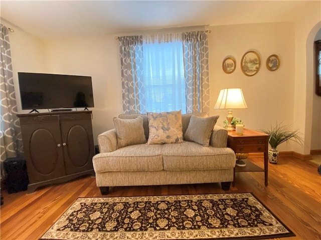 living room with hardwood / wood-style floors