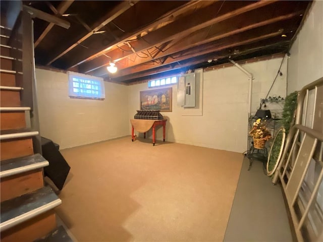 basement with electric panel