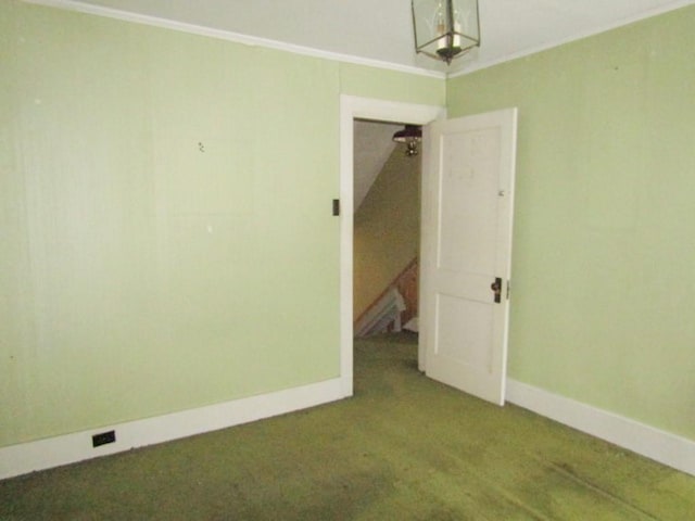 spare room with crown molding and carpet floors