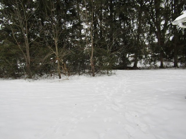 view of snowy yard