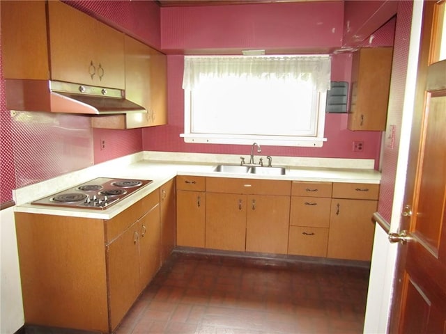 147 Carmichaels St, Dry Tav/Rices Landing, PA 15357 - kitchen with under cabinet range hood, light countertops, a sink, and stainless steel electric stovetop