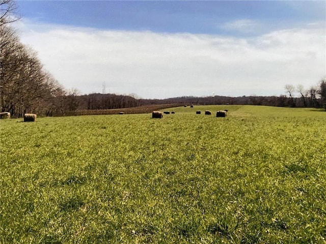 view of nature with a rural view